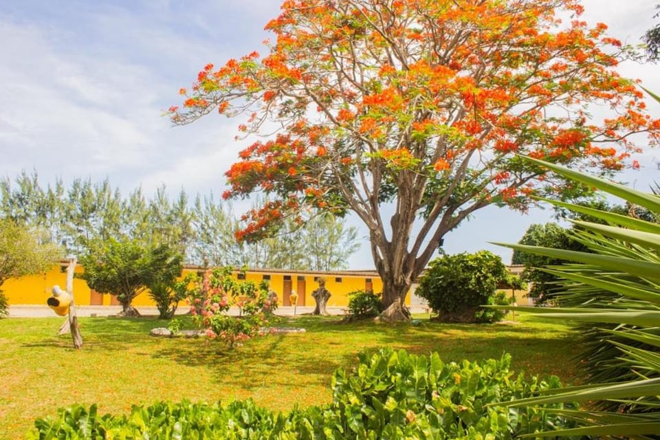 Hotel Parque do Sol Hotel in Parnamirim