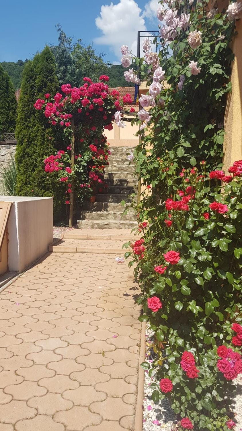 Inner courtyard view