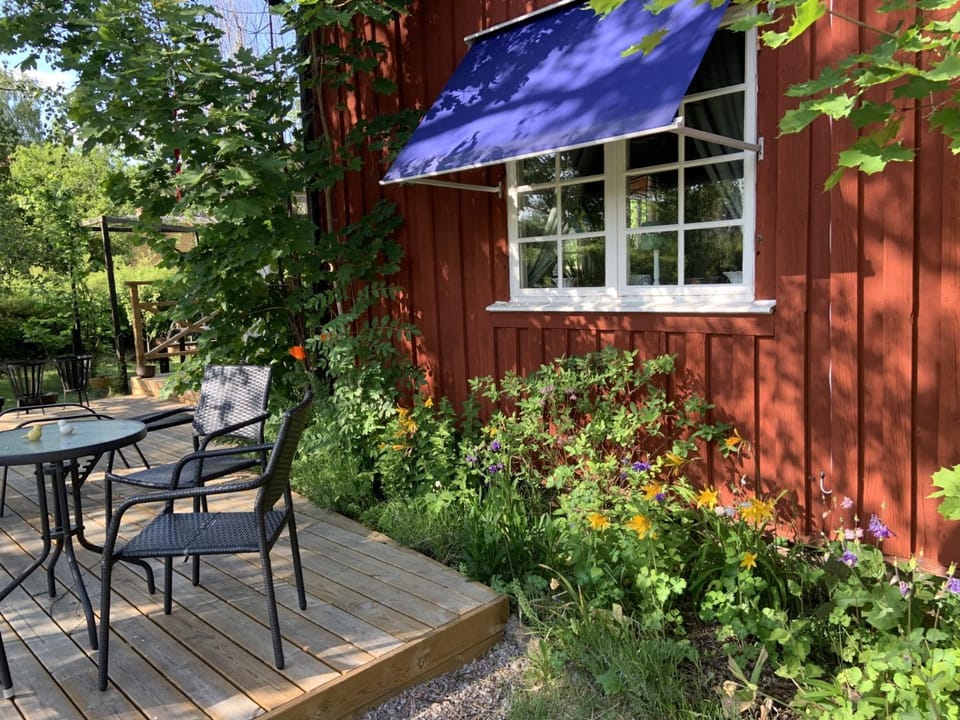 Patio, Garden, Garden, Garden view