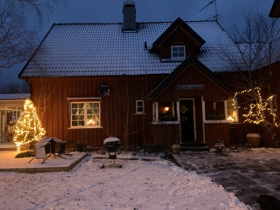 Winter