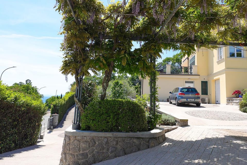 Property building, Garden, Street view, Parking