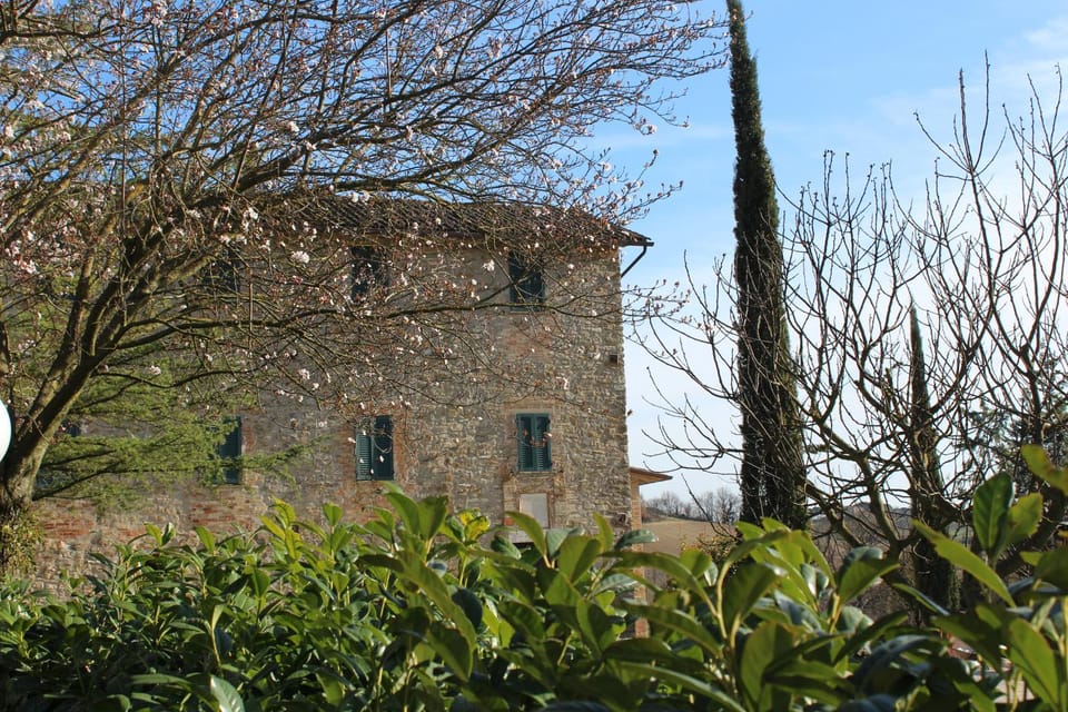 Property building, Natural landscape, Garden, Garden view