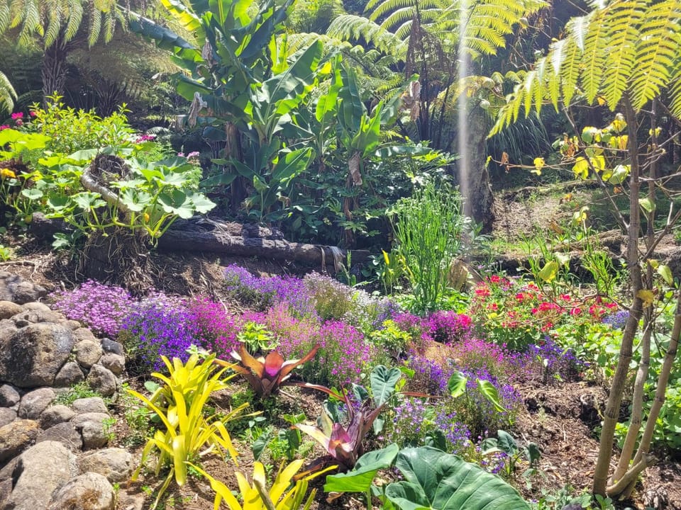 Garden view