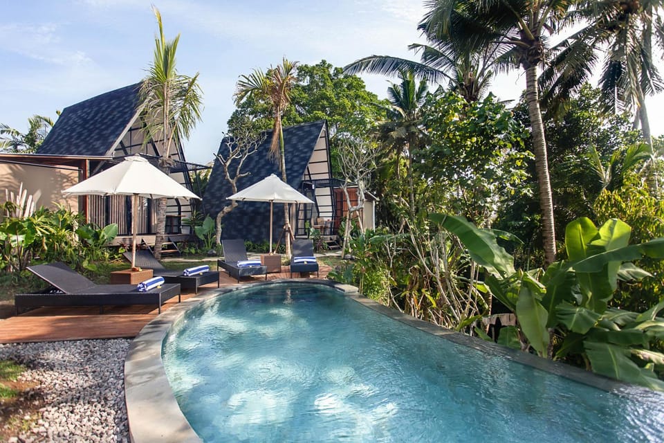 Natural landscape, Garden, Swimming pool