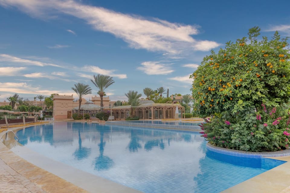 Day, Garden view, Swimming pool, sunbed