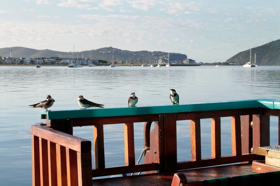 Natural landscape, Lake view, River view
