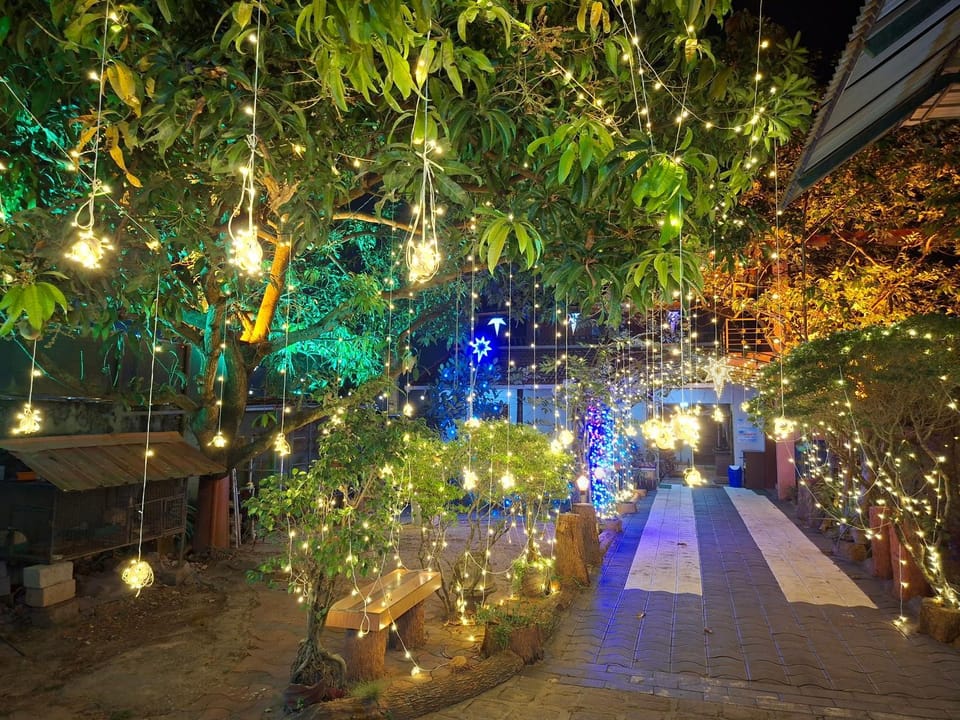 Night, Garden