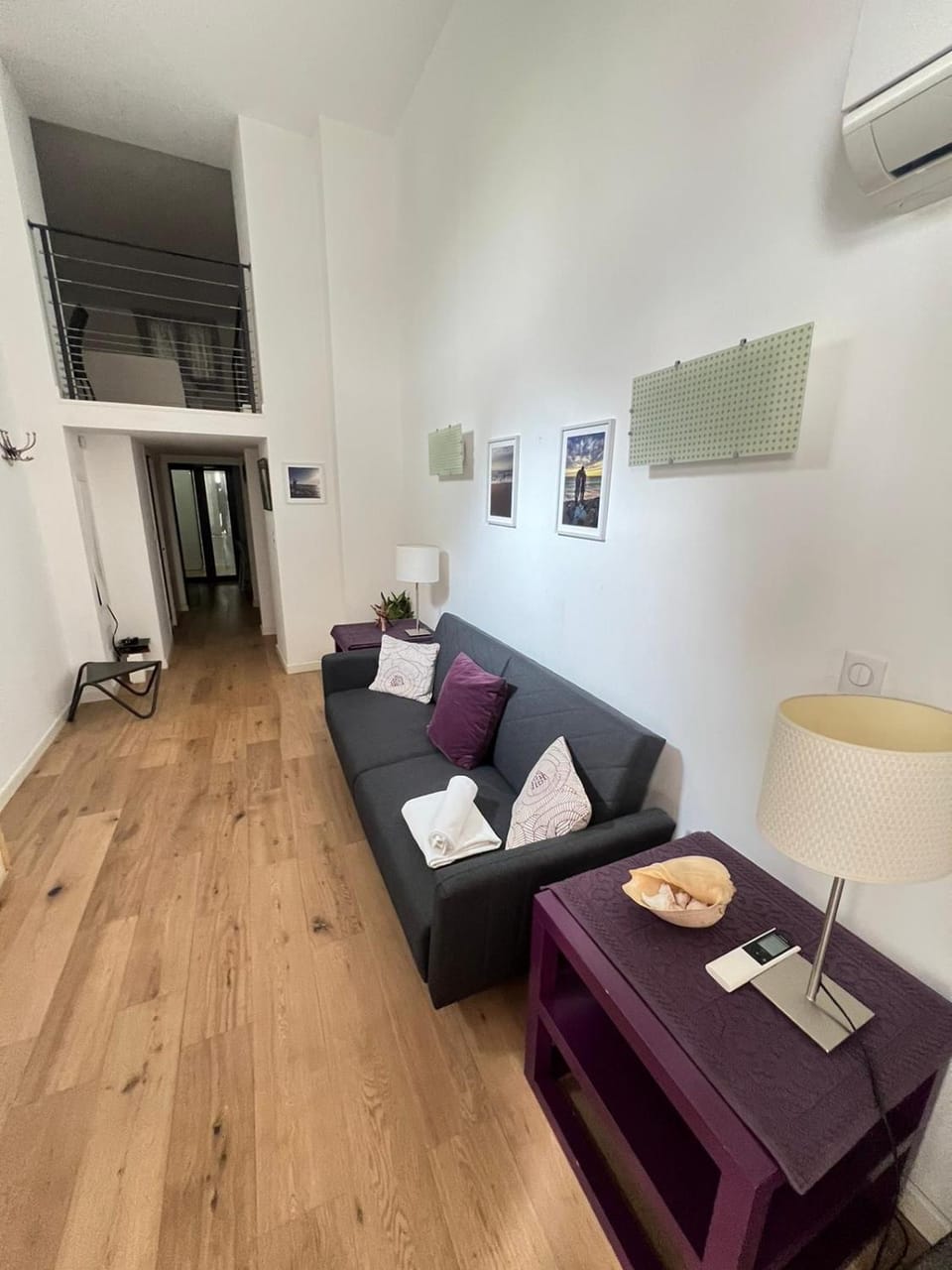 Magnifique Duplex Type Loft Apartment in Nice