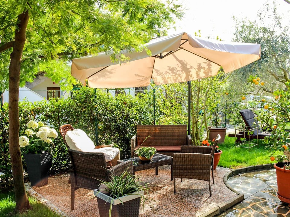 Garden, Seating area, Garden view