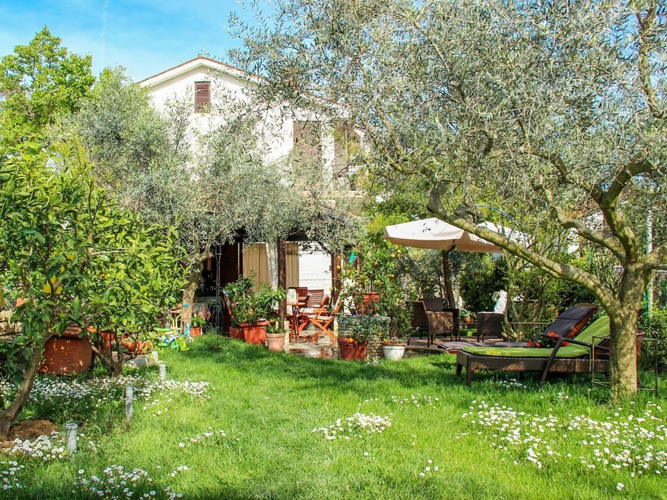 Spring, Garden