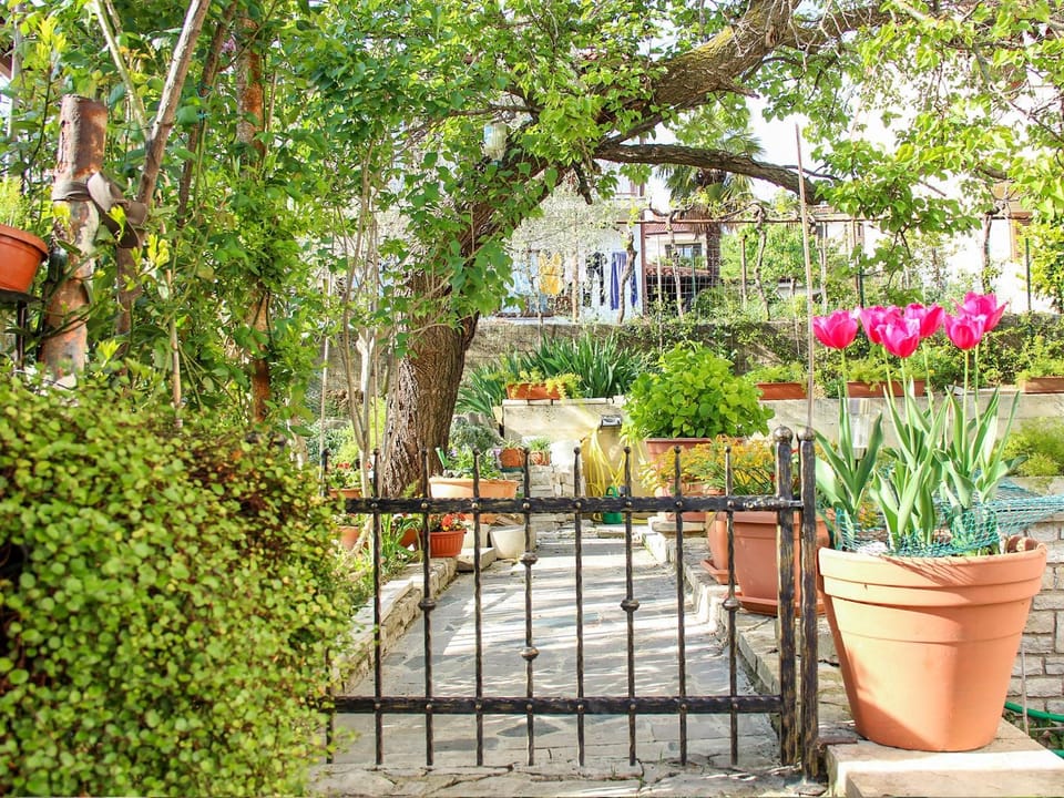 Garden, Garden view