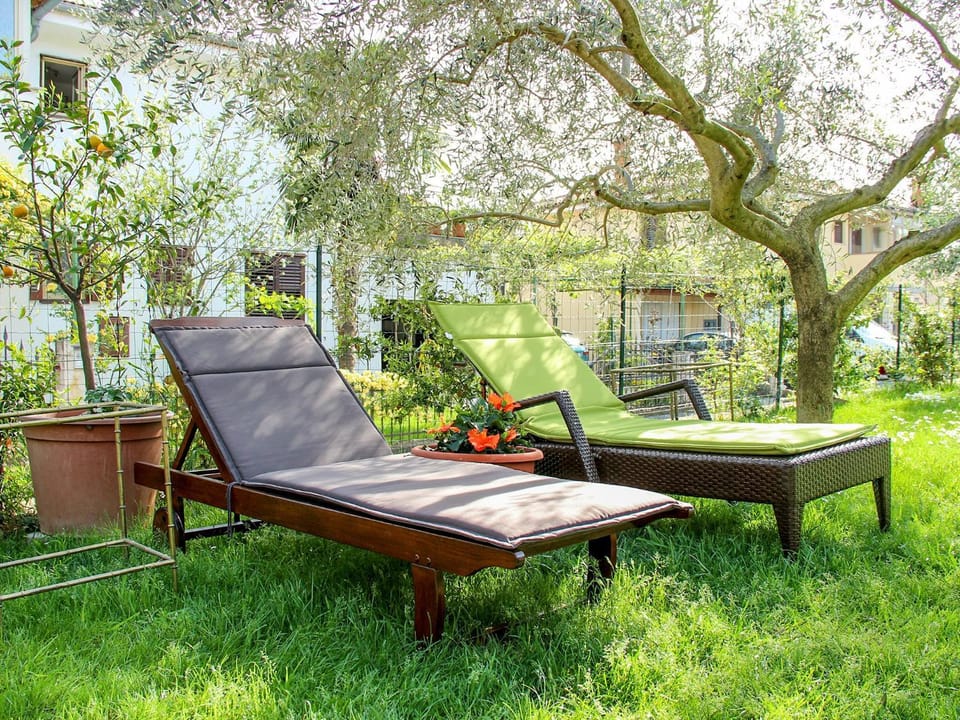 Garden view, sunbed
