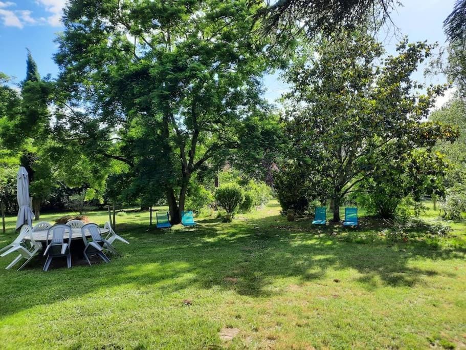 Garden, Garden view, sunbed