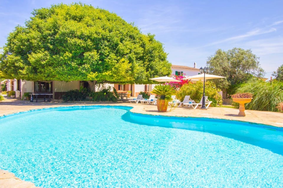 Property building, Garden, Swimming pool, sunbed