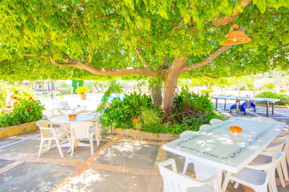 Villa 'Cas Moliner' con WiFi, Air Con y piscina privada House in Serra de Tramuntana