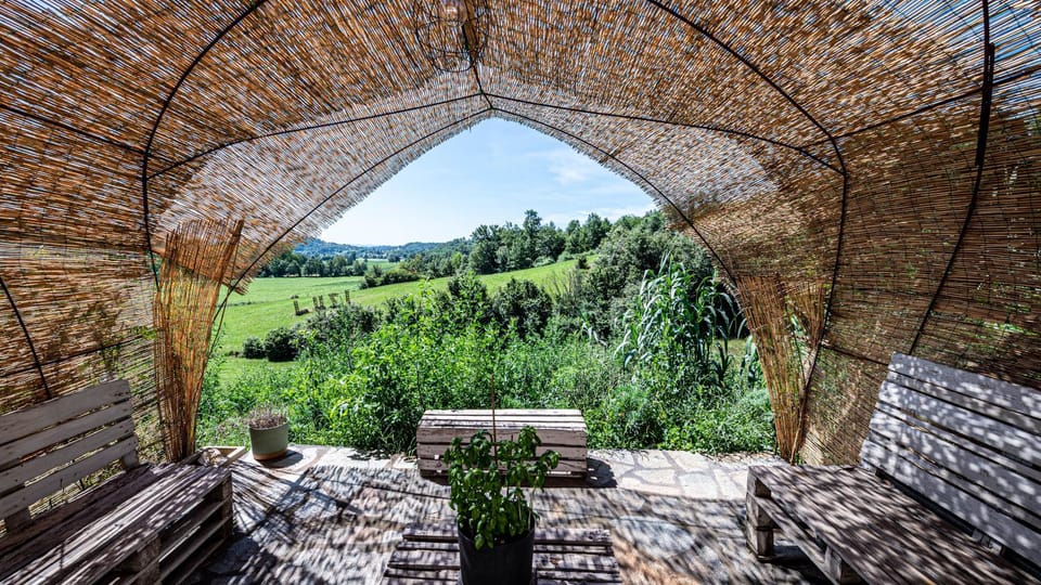 Natural landscape, Garden, Garden view, Inner courtyard view