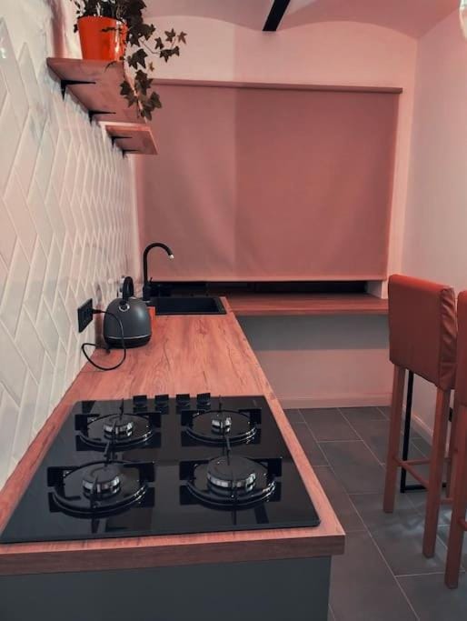 Altstadt House Apartment in Brasov