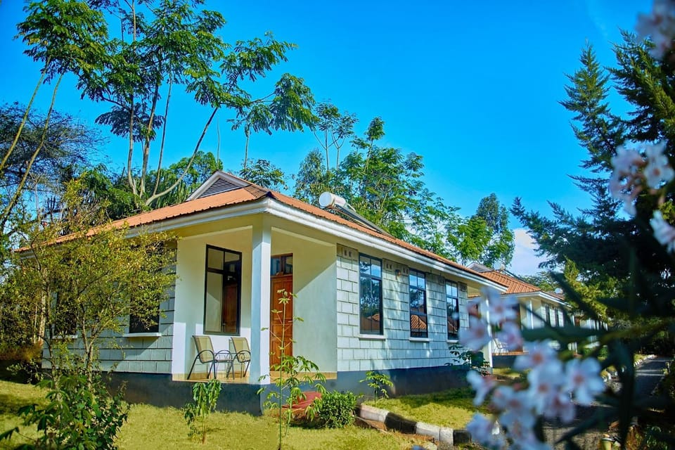Property building, Guests, Family