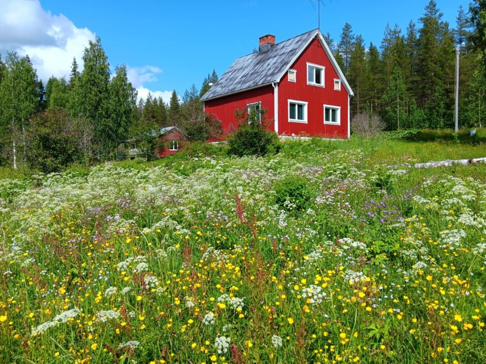 House in the middle of forests and lakes House in Norrbotten County, Sweden