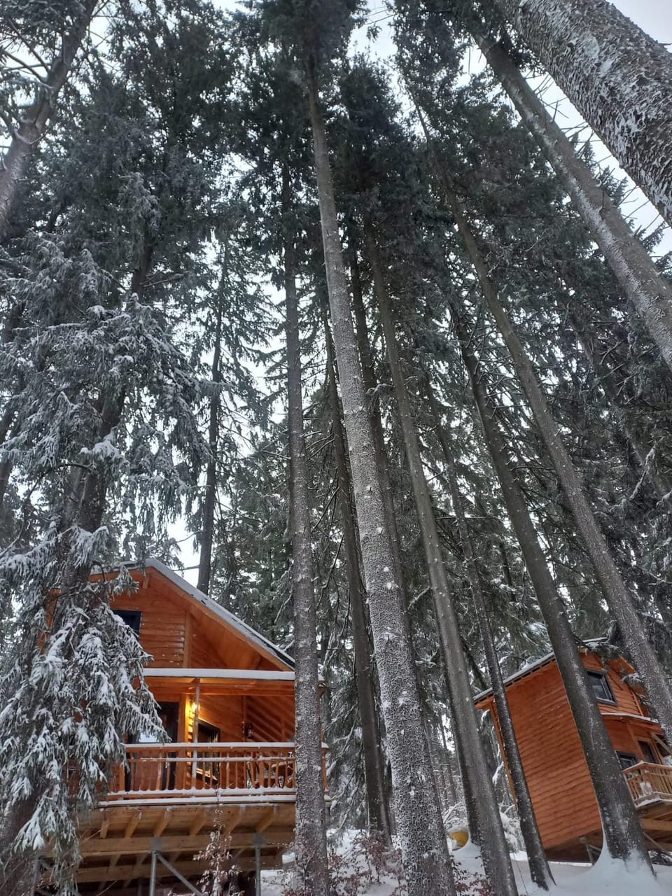 Chalet Hay Huy Nature lodge in Prahova, Romania