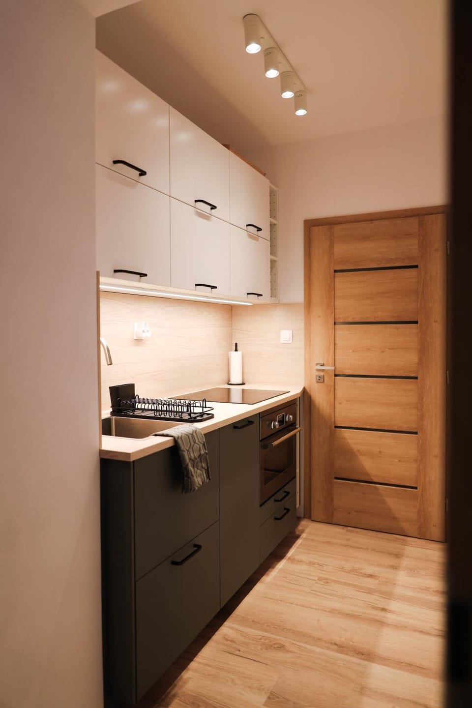 Kitchen or kitchenette, minibar, pet friendly, stove
