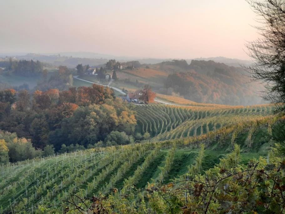 Natural landscape
