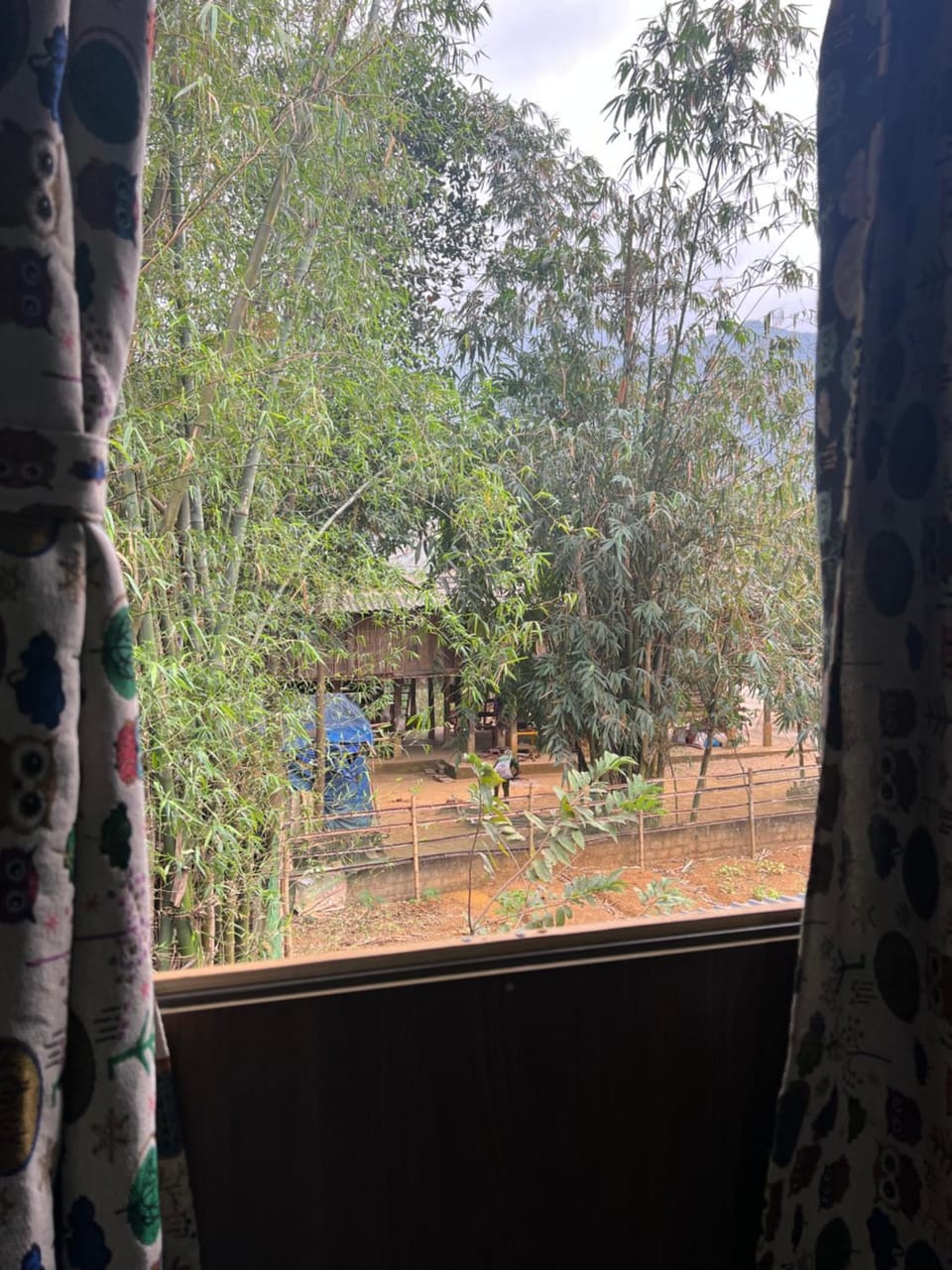 View (from property/room)