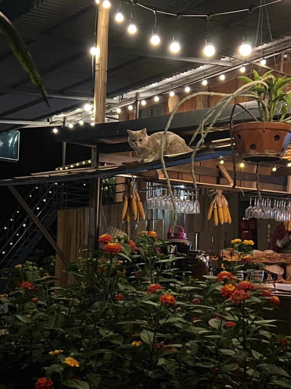 NHÀ CỦA CHI - HOMESTAY Food & Coffee Nature lodge in Laos