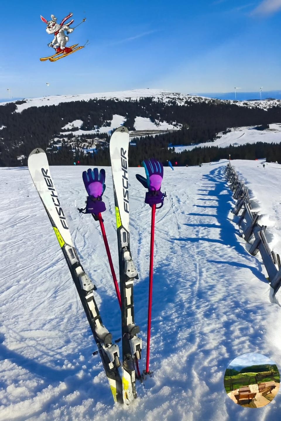 Winter, Skiing