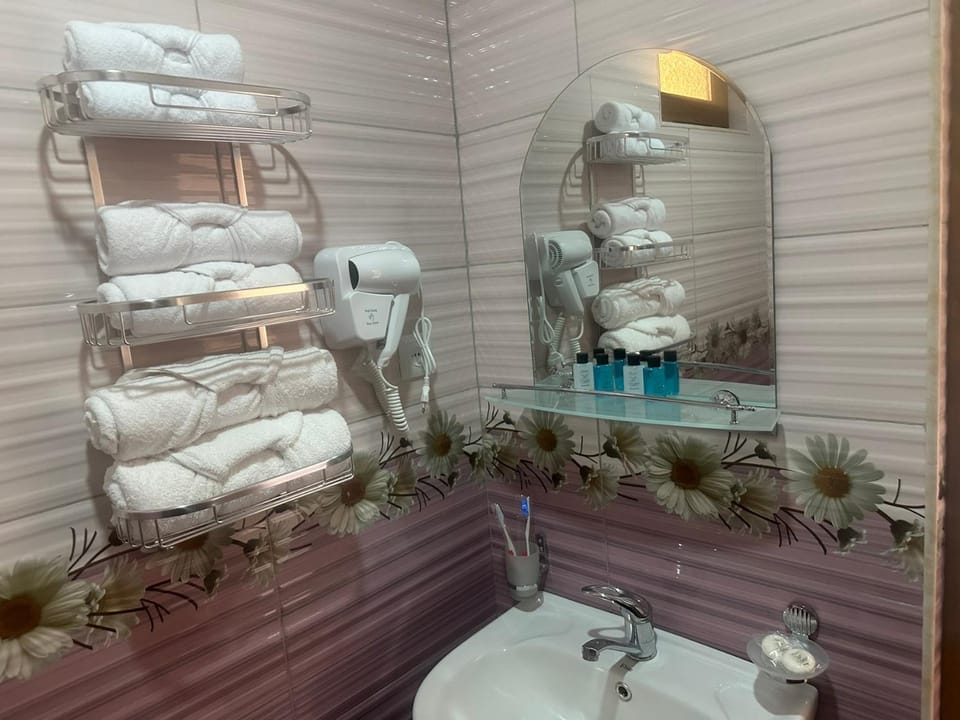Shower, Toilet, towels