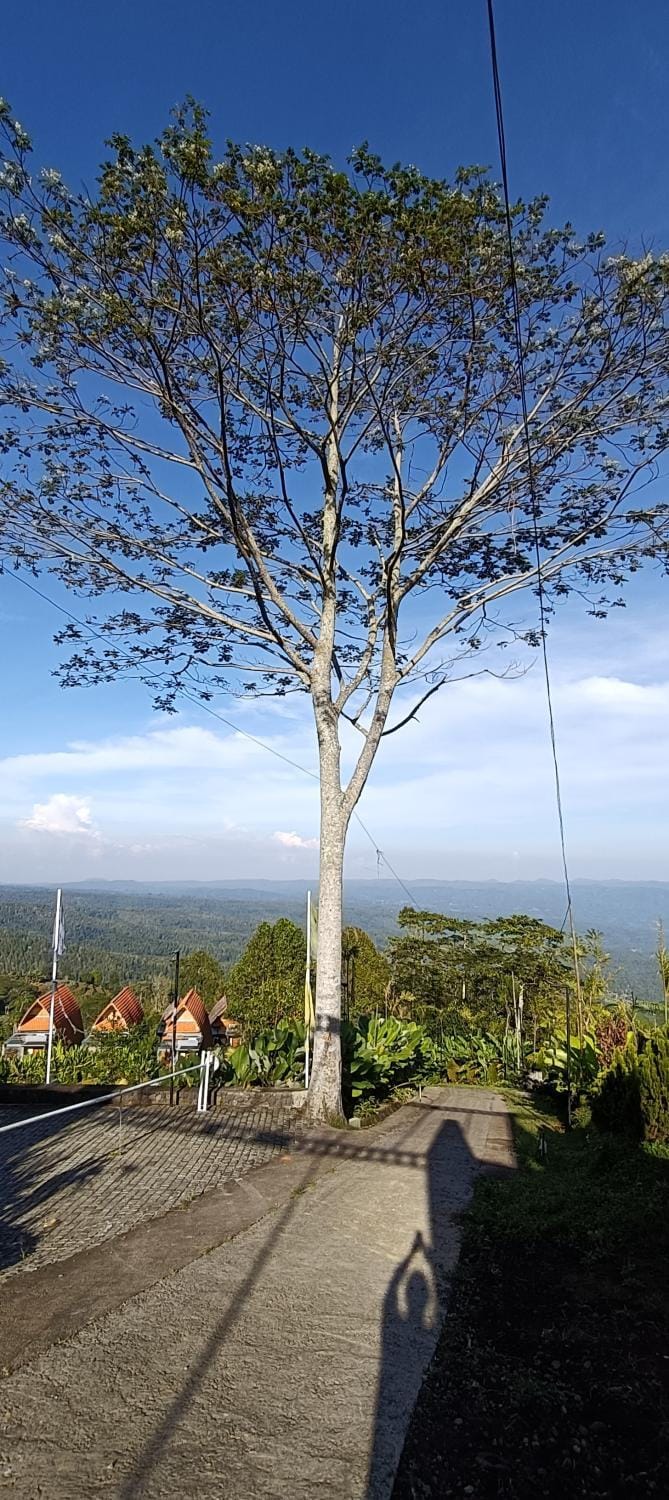 Camaradvipa Retreat Munduk Hotel in Bali