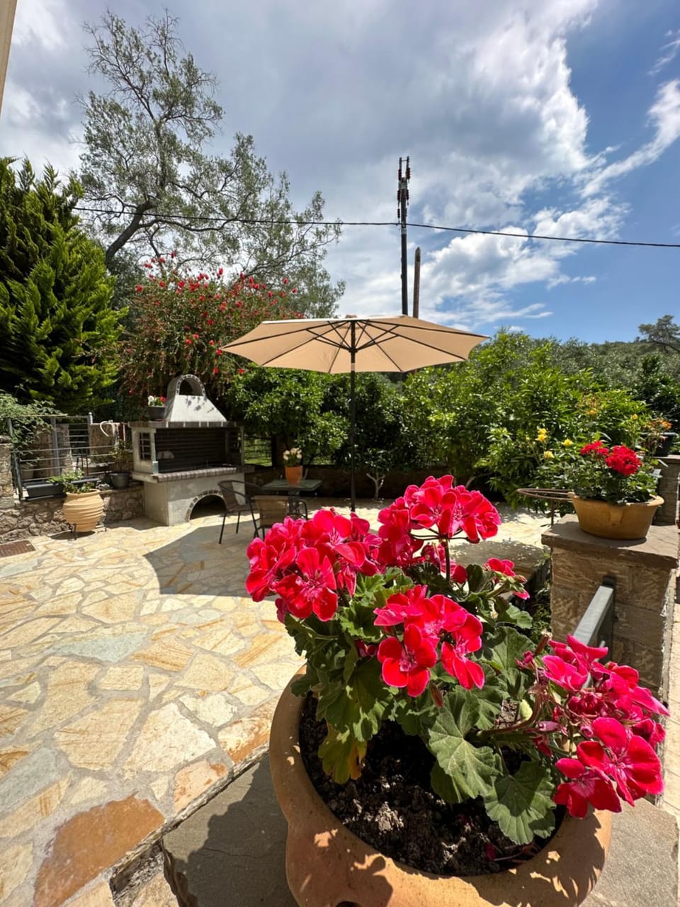 Garden, Garden view