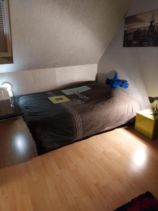 bel appartement 50 m2 aux portes de STRASBOURG de 1 à 5 personnes chez particuliers avec 2 sdb coin cuisine-repas et kitchinette Prix négociable pour 1 personne Bed and Breakfast in Ortenau