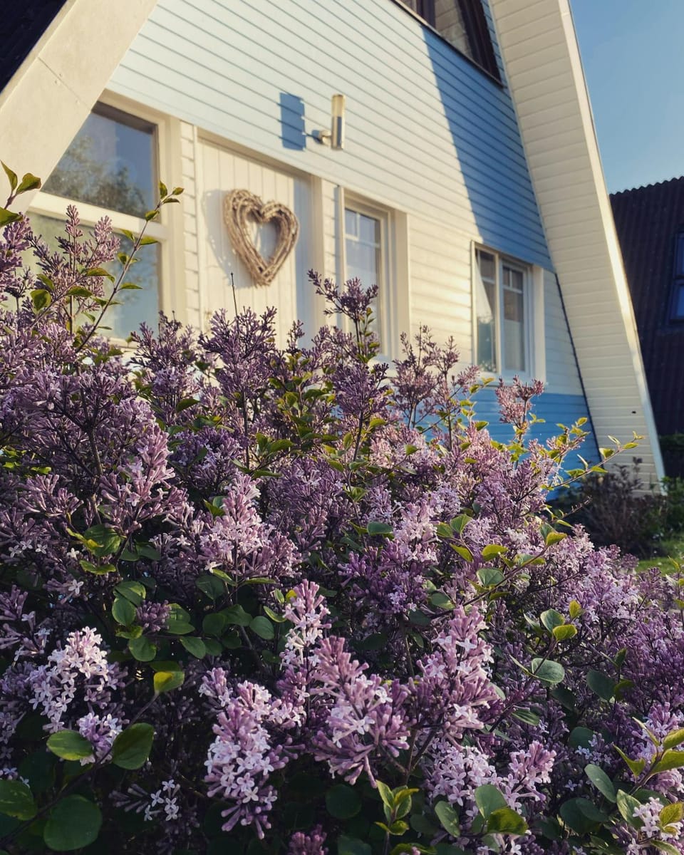Property building, Spring, Day, Garden