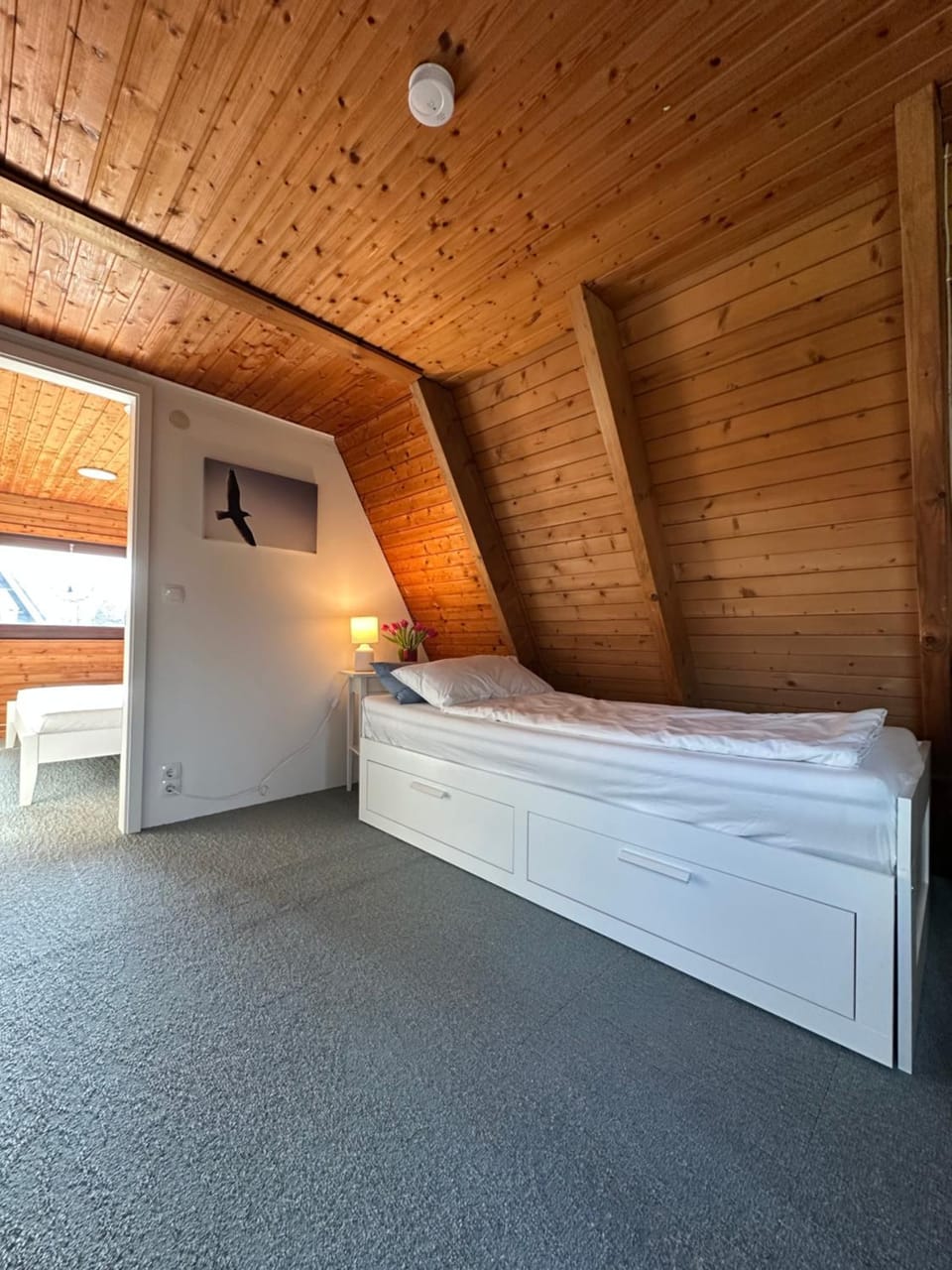 Bed, Photo of the whole room