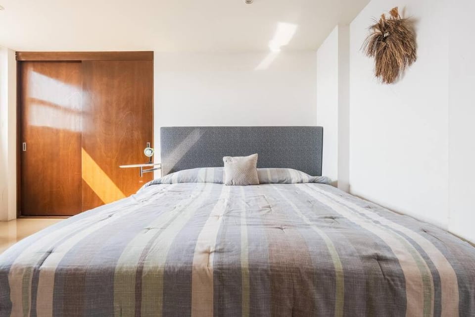 Nice and Comfortable suite with GYM in Polanco Apartment in Mexico City