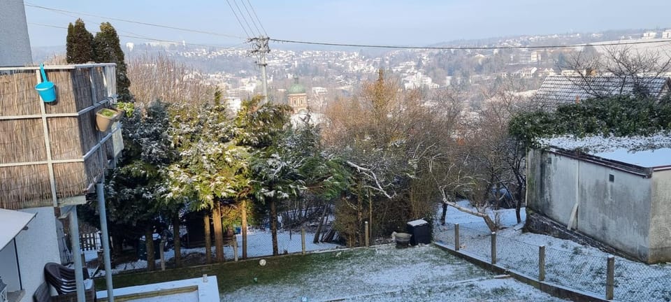 Natural landscape, Winter, Garden