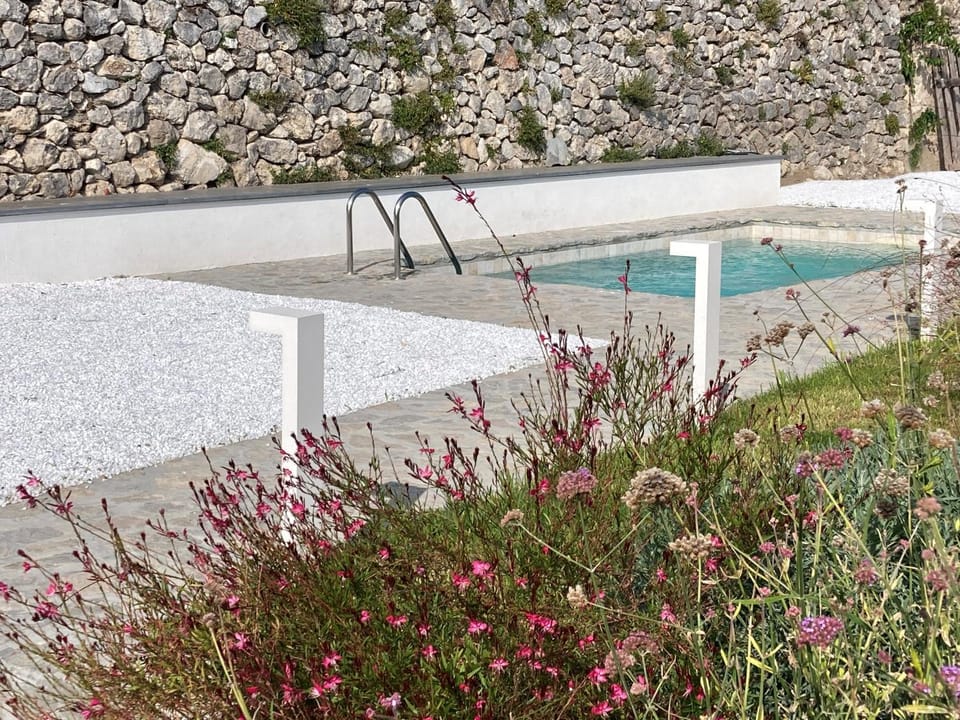 Spring, Garden, Swimming pool