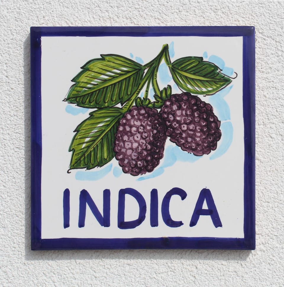 Property logo or sign