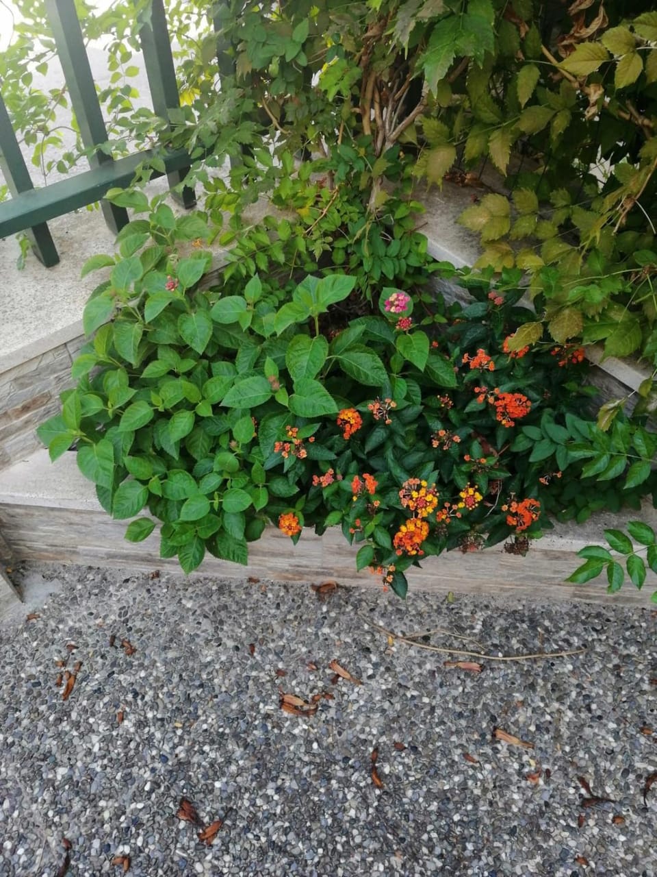 Property building, Garden