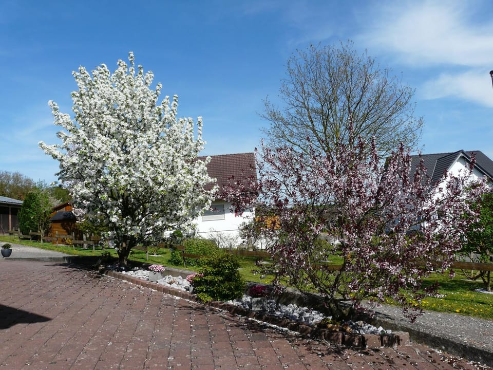 Spring, Garden