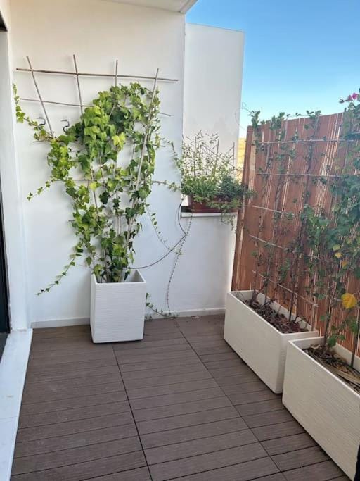 Patio, Day, Balcony/Terrace