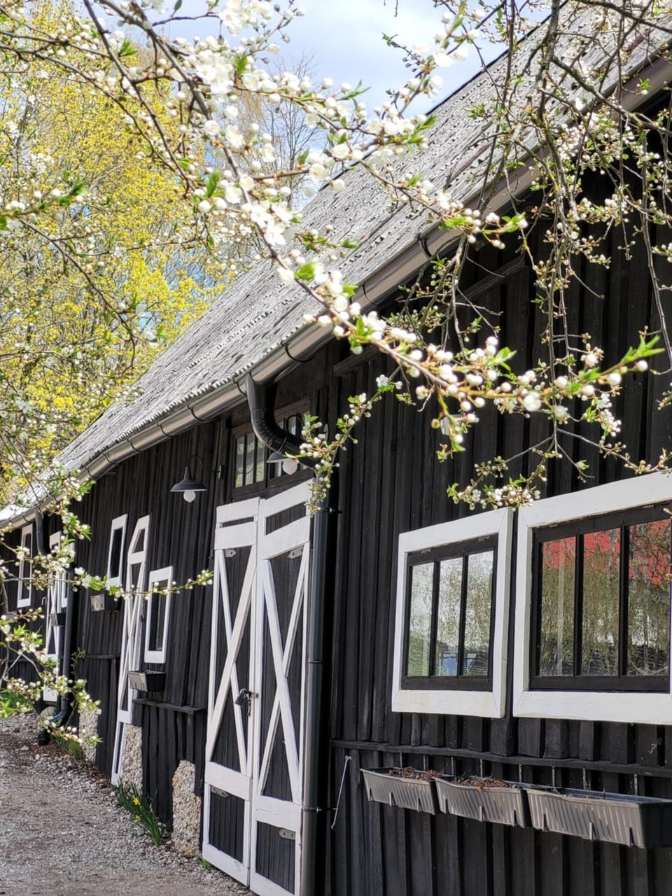 Spring, Garden view