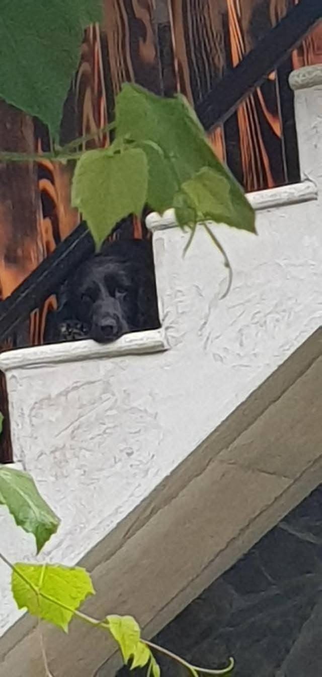 Day
