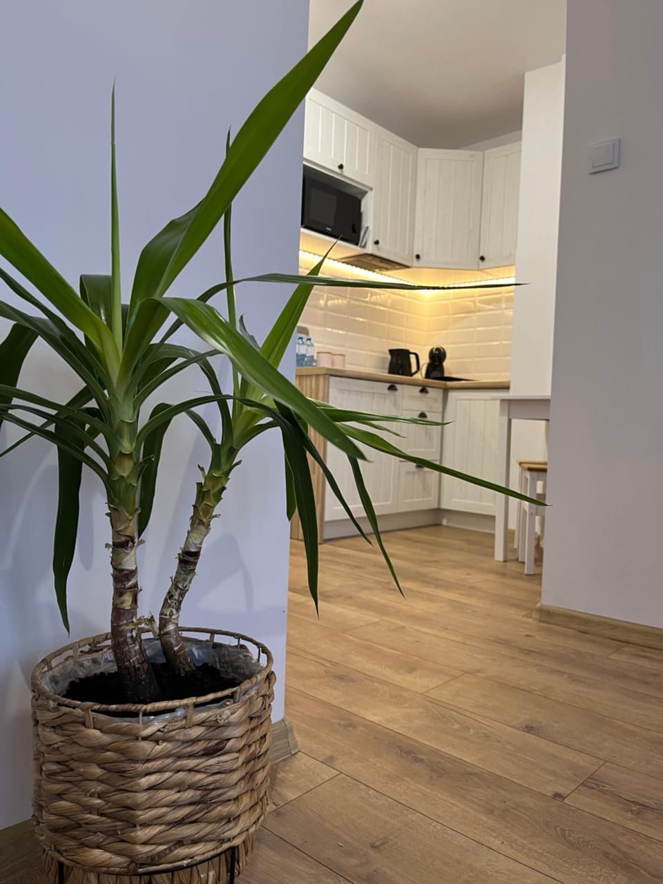 Apartament Rubinowy Apartment in Greater Poland Voivodeship