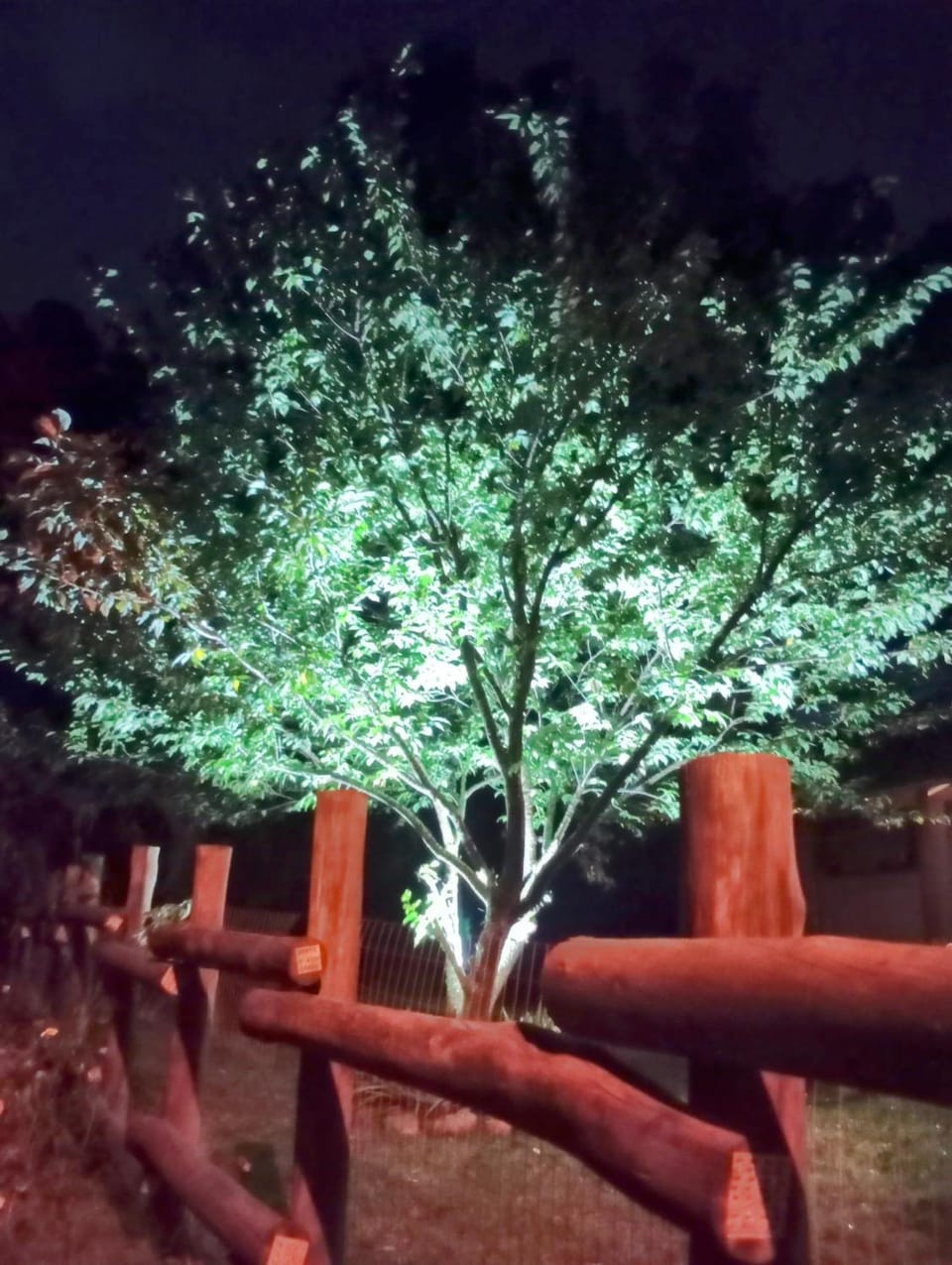 Chalé Cafofo Campground/ 
RV Resort in State of Santa Catarina