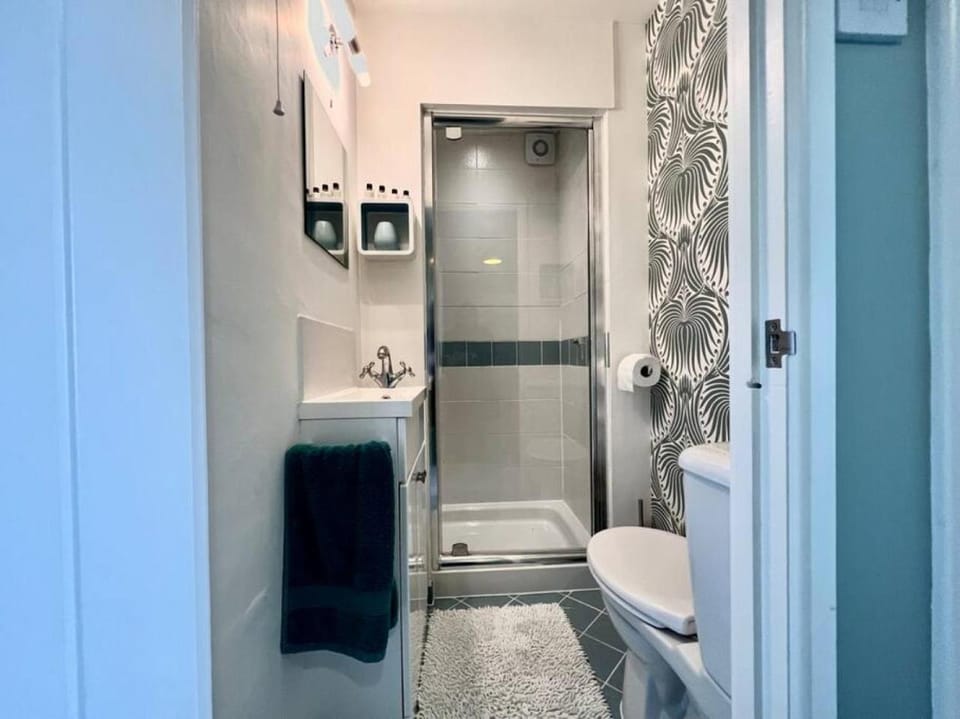 Shower, Toilet, Bathroom, Photo of the whole room