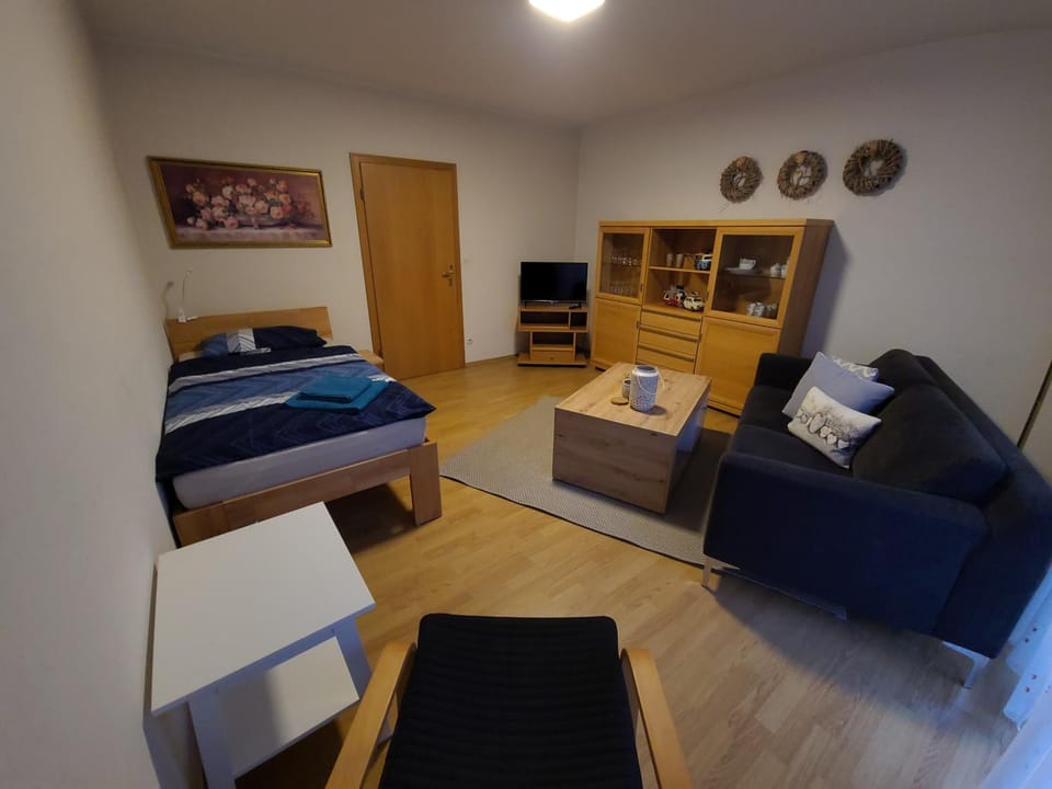 Bed, TV and multimedia, Living room, Photo of the whole room, Seating area, Bedroom