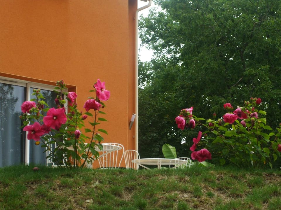 Garden, Balcony/Terrace