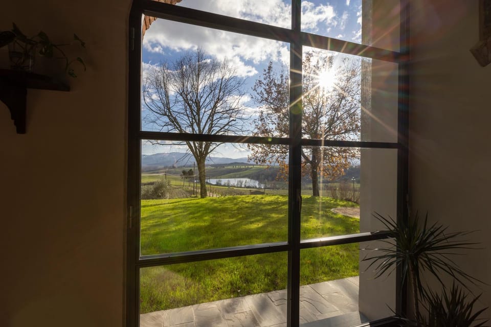 Natural landscape, Garden, Garden view